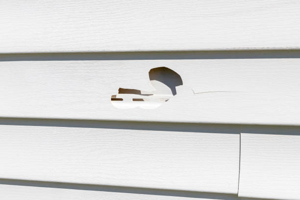 Best Storm Damage Siding Repair  in Juarez, TX