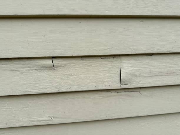 Best Custom Trim and Detailing for Siding  in Juarez, TX